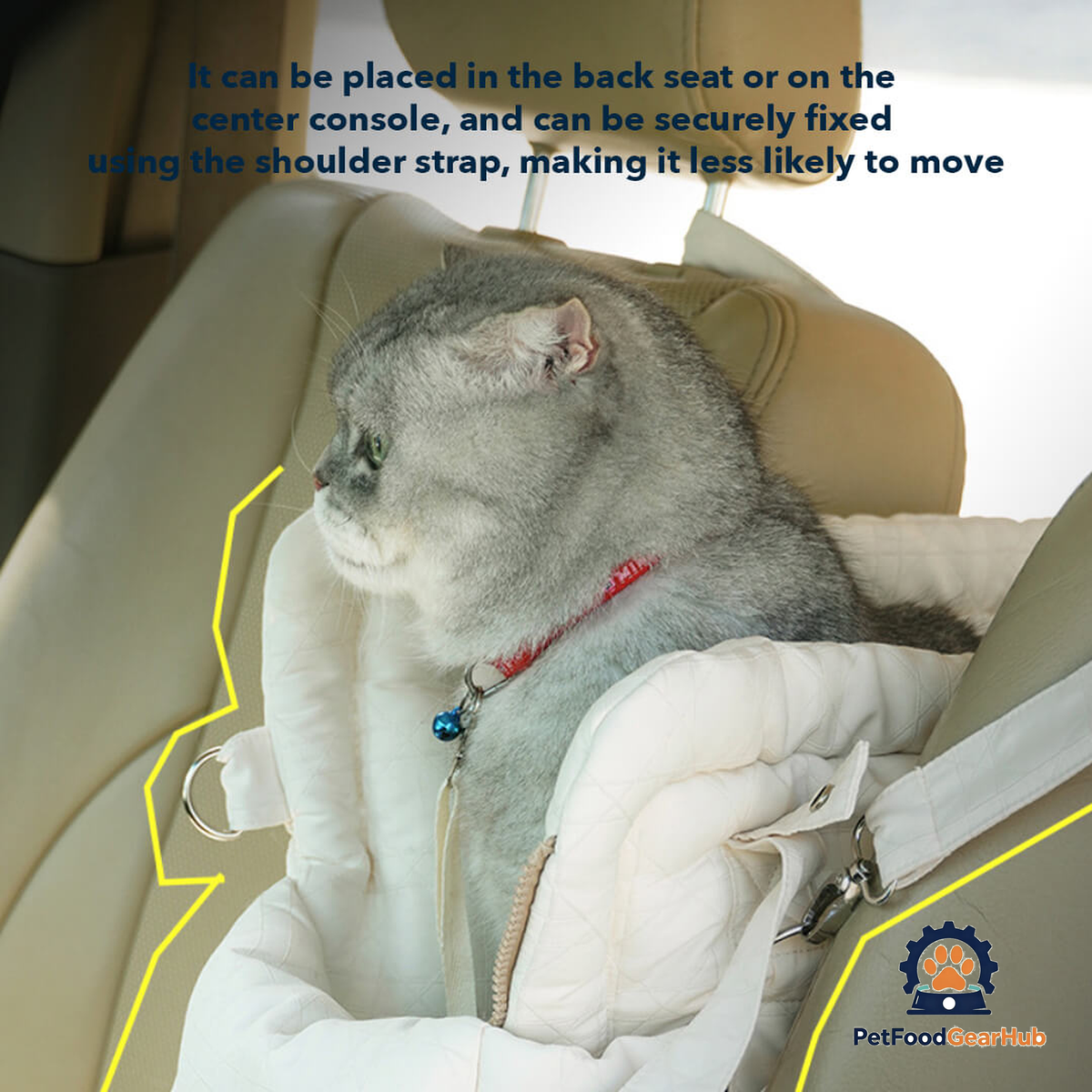 Cat in Carrier Placed on the Center Console of a Car | PetFoodGearHub