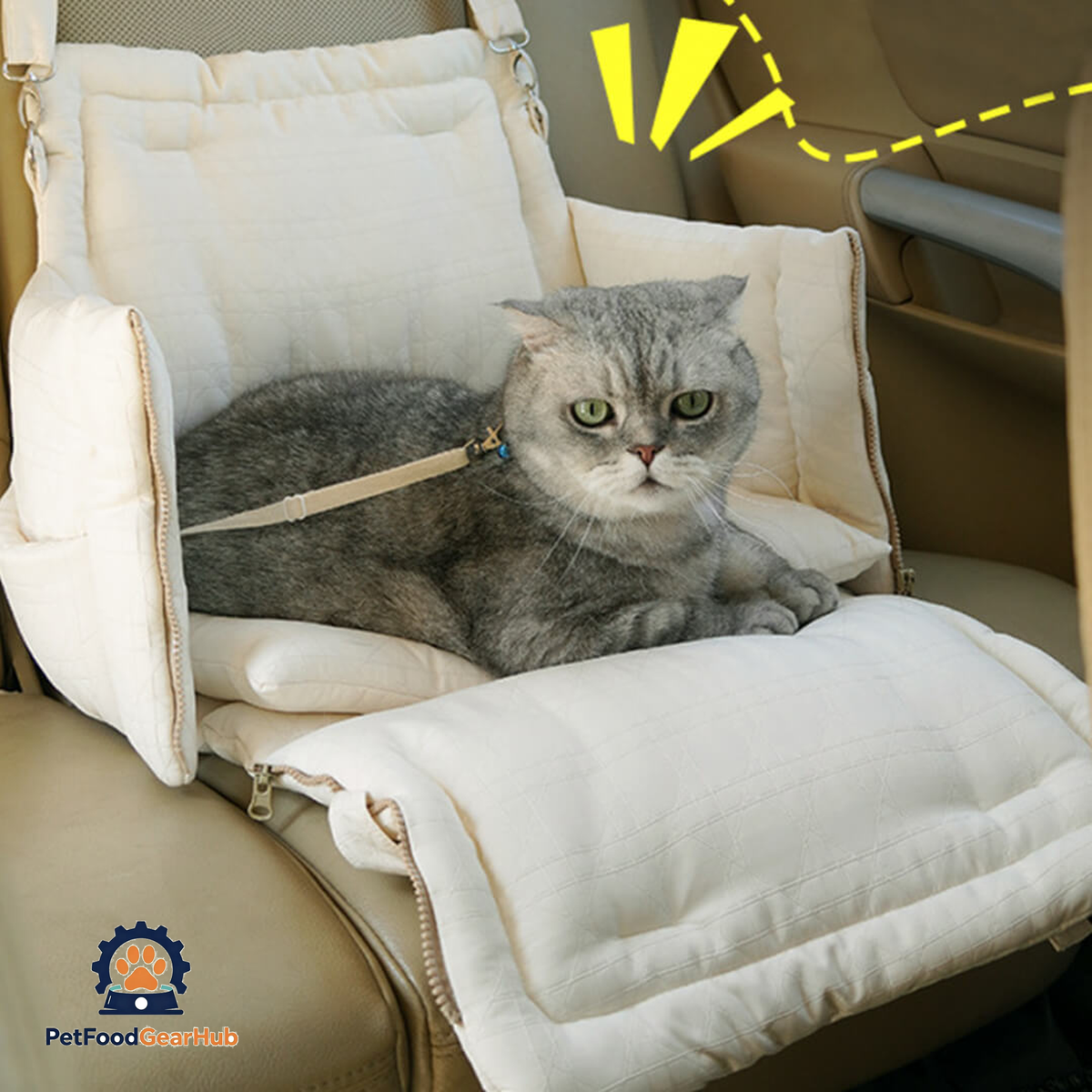 Cat Resting in Carrier with Anti-Slip Fabric Base | PetFoodGearHub