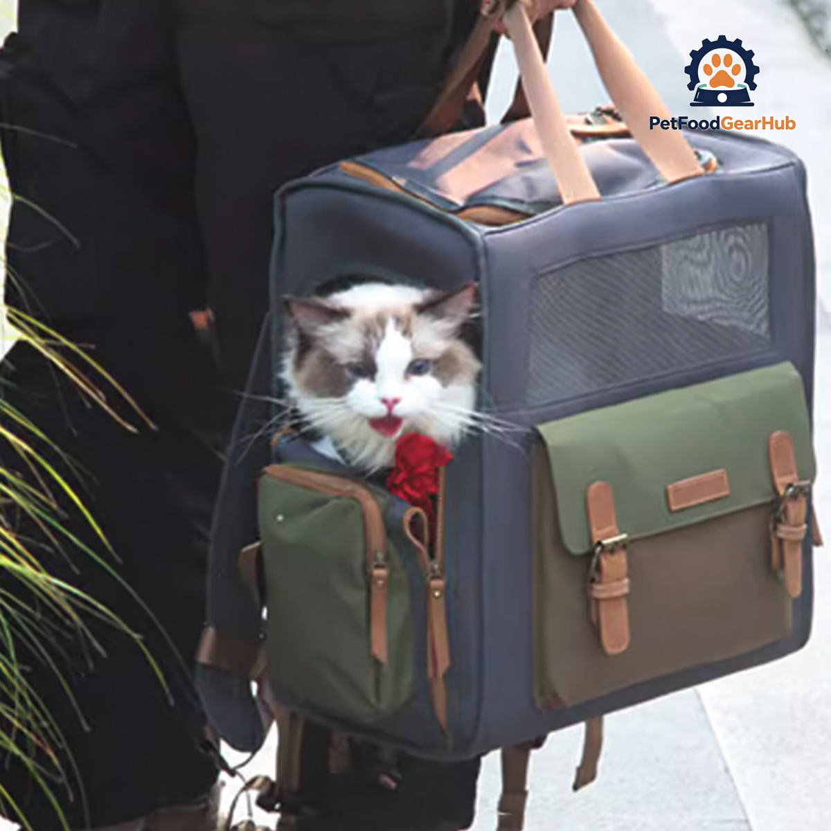 Cat Inside Backpack Carrier Being Carried | PetFoodGearHub
