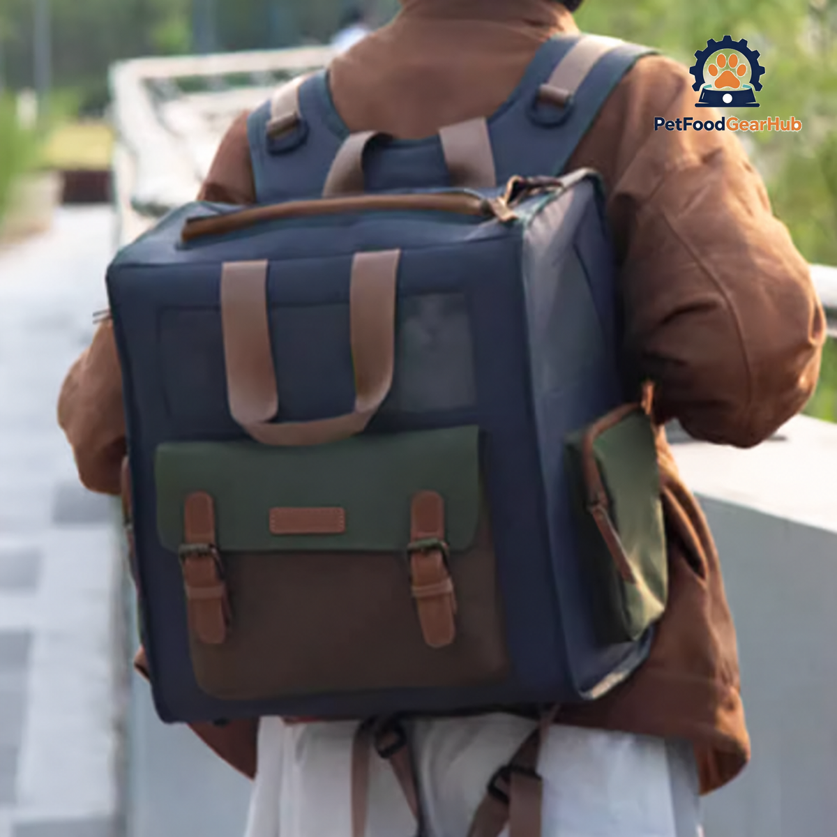 Carrying Cat Carrier Backpack with Cat | PetFoodGearHub