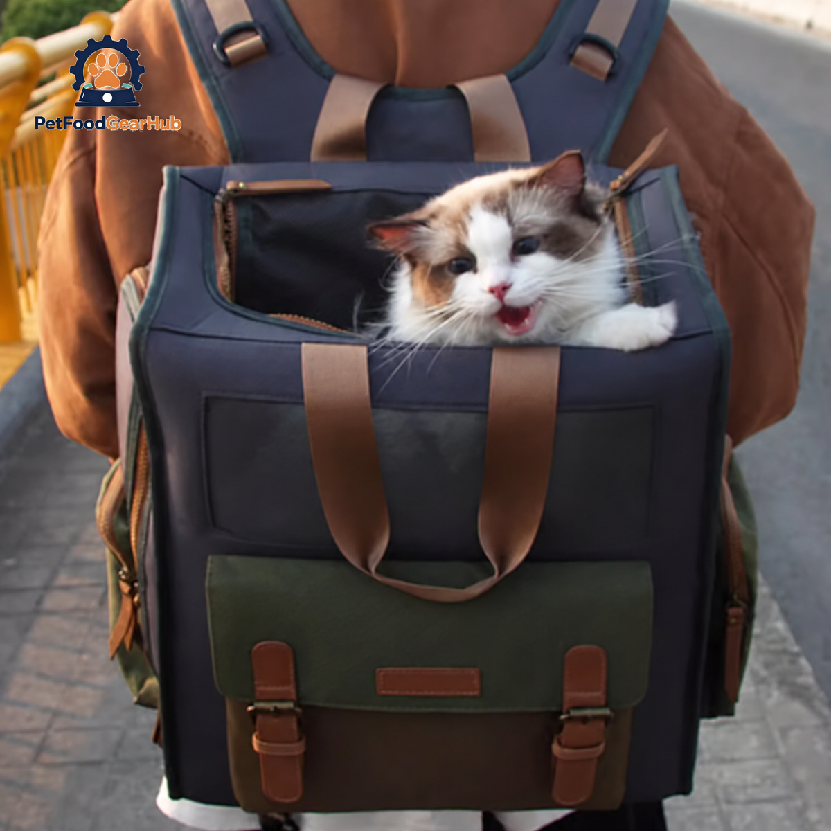 Cat Sitting Inside Stylish Cat Carrier Backpack  | PetFoodGearHub