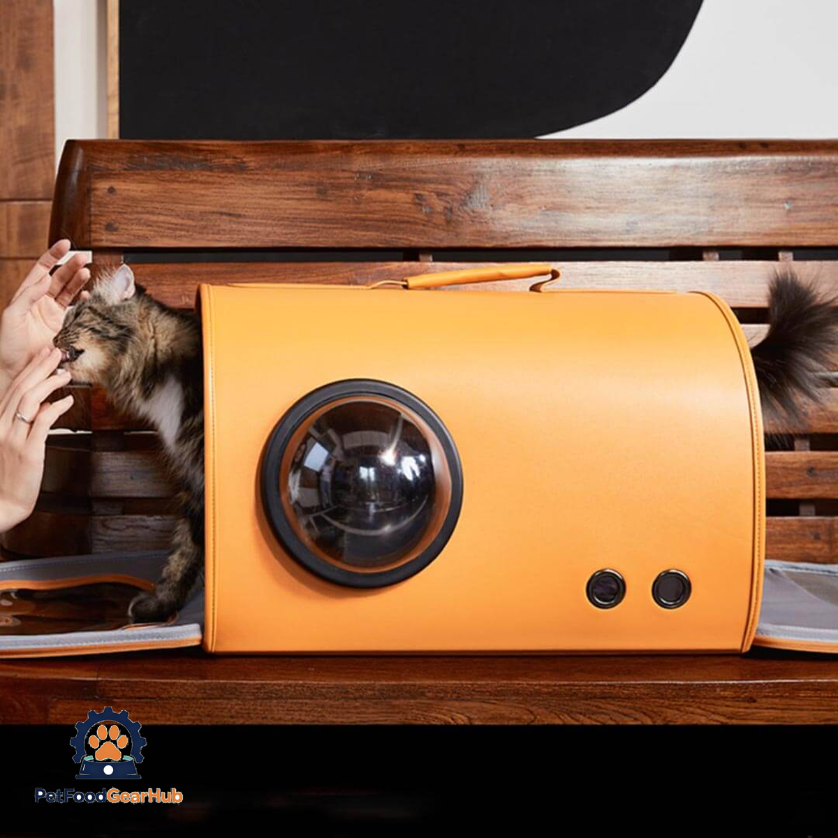 Fancy Poupée Cat Carrier | Designer Leather Pet Carrier | PetFoodGearHub