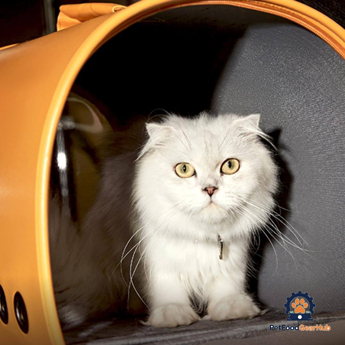 Cat Inside Fancy Poupée Cat Carrier | PetFoodGearHub