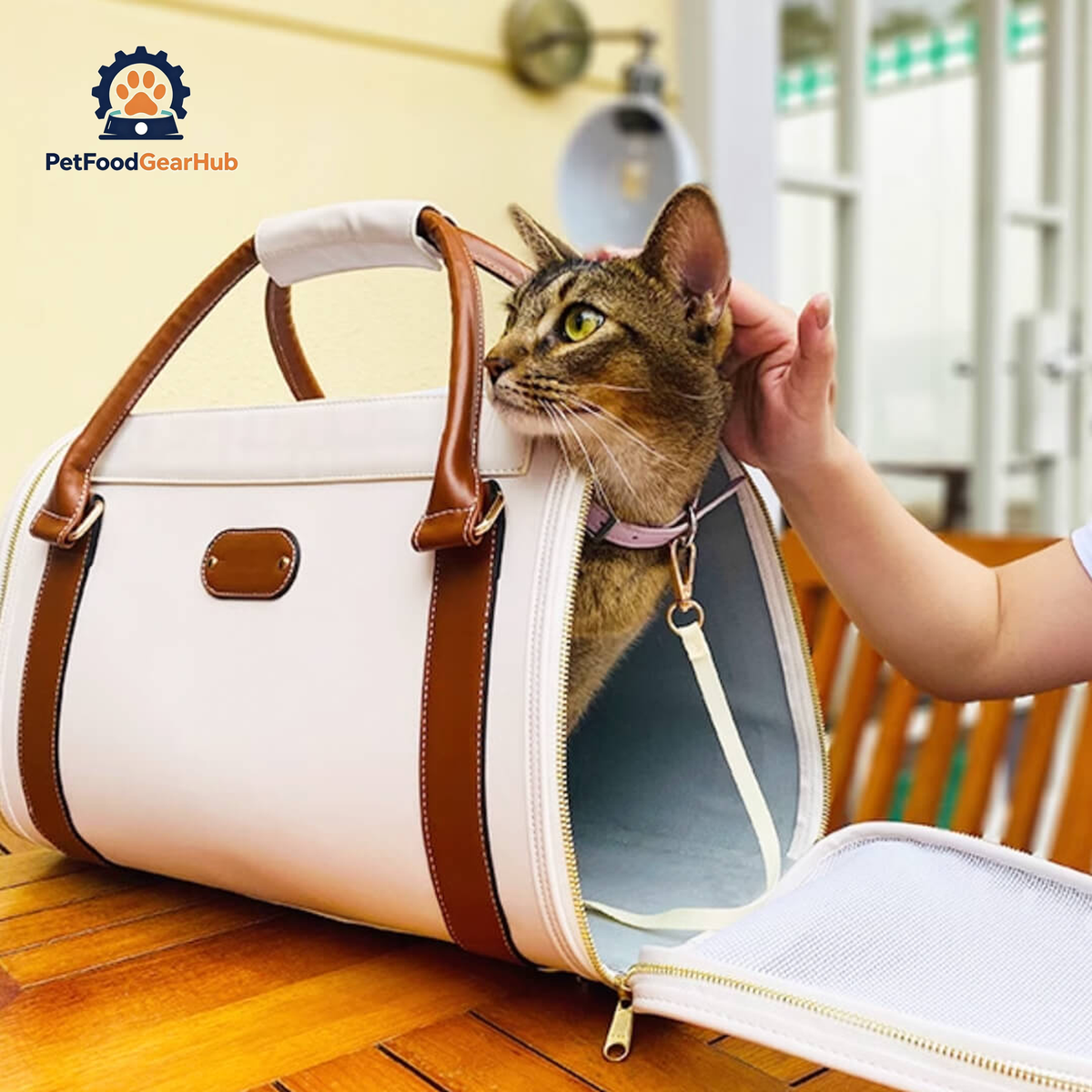Cat Inside Leather Duffle Cat Travel Bag | PetFoodGearHub
