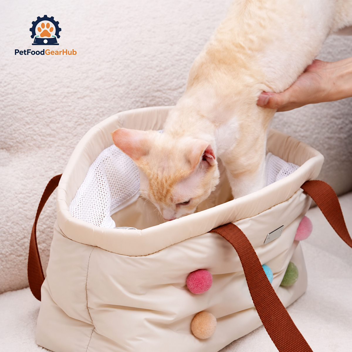 Getting a Cat in a Cat Shoulder Bag | PetFoodGearHub
