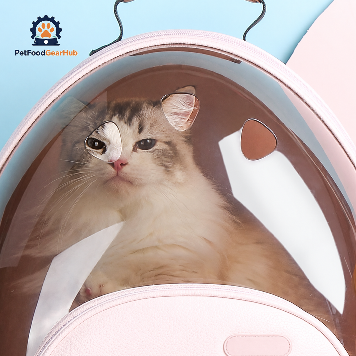 Cat Seeing Out of the Pink Castronaut Space Cat Backpack | PetFoodGearHub