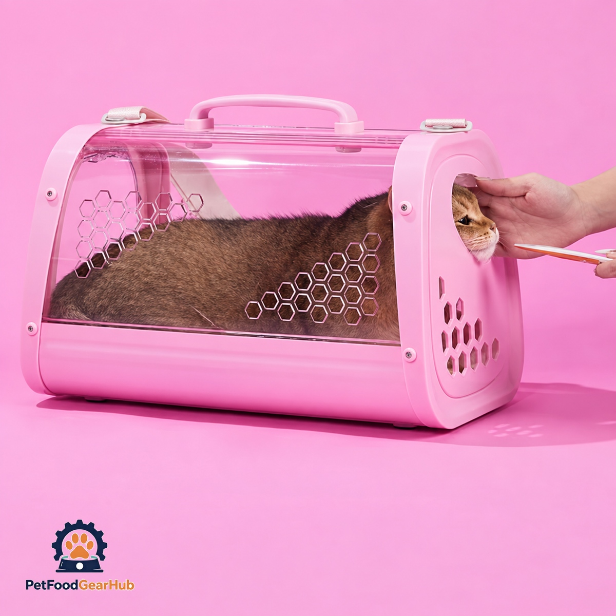 Stroking Cat Inside PetFoodGearHub Pink Clear Hard Cat Carrier | PetFoodGearHub
