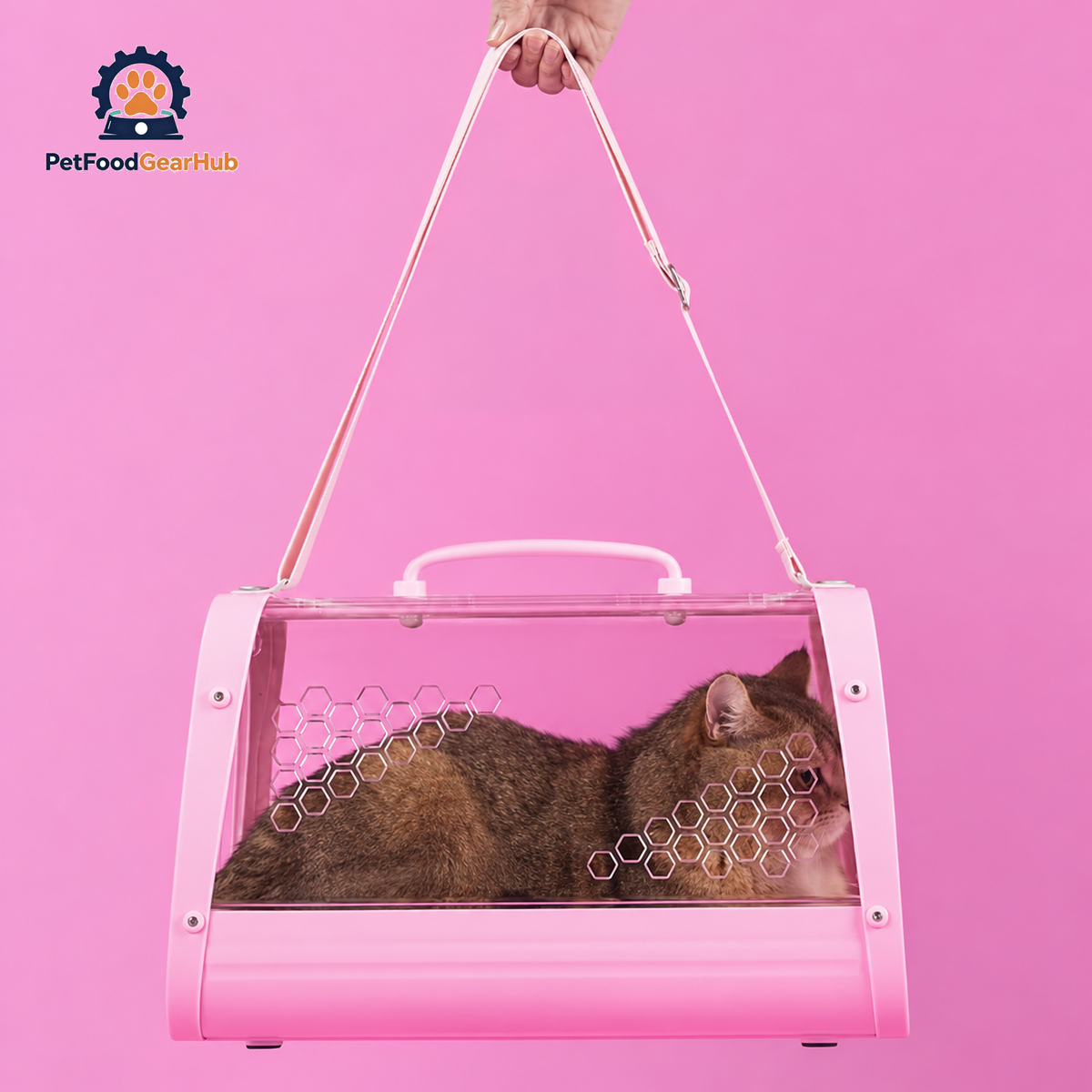 Carrying Cat with PetFoodGearHub Pink Clear Hard Cat Carrier | PetFoodGearHub