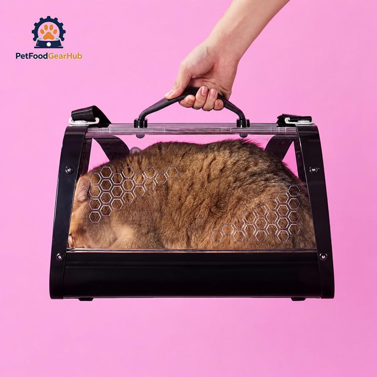PetFoodGearHub Black Clear Hard Cat Carrier | PetFoodGearHub