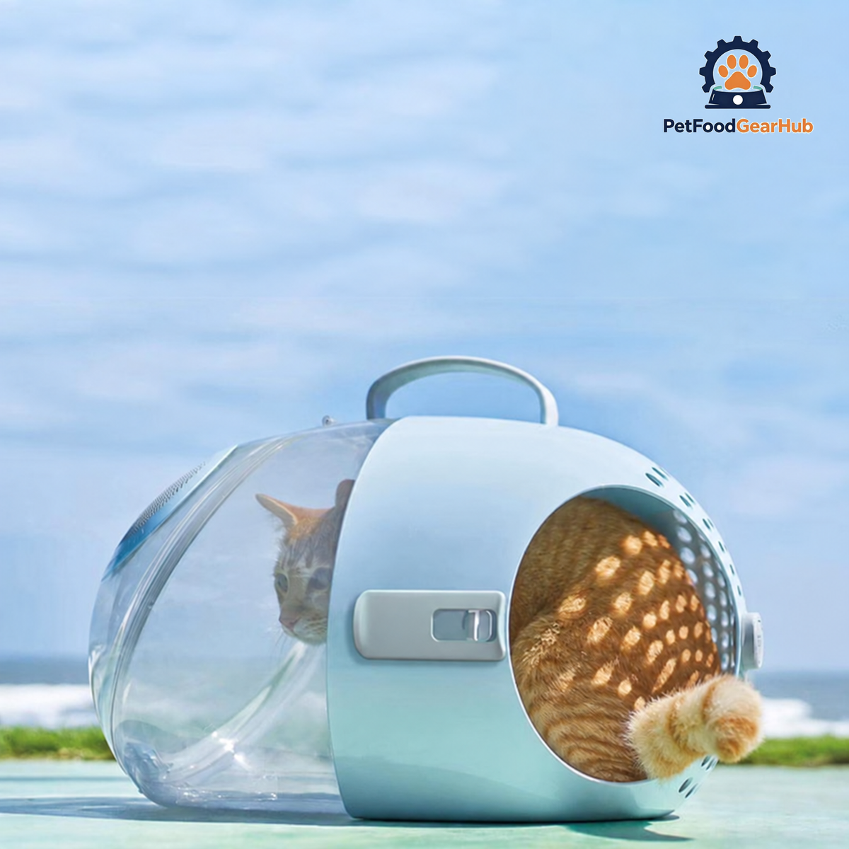 Cat in Blue PetFoodGearHub Capsule Cat Carrier | PetFoodGearHub
