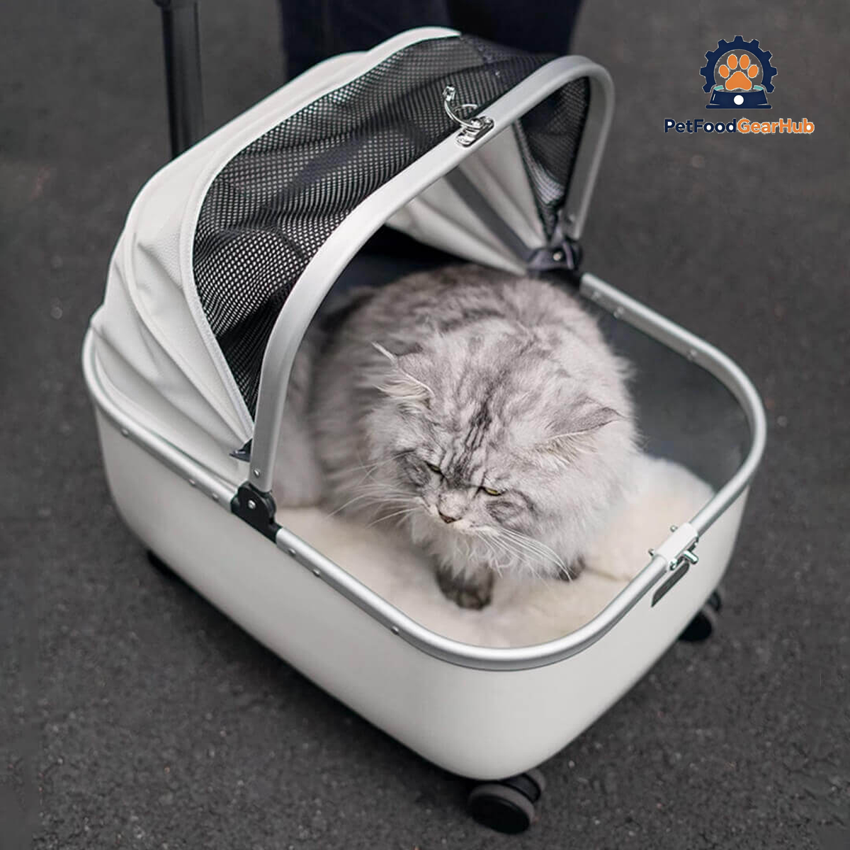 Cat Sitting in White Cat Stroller | Stylish Cat Carrier with Wheels | PetFoodGearHub