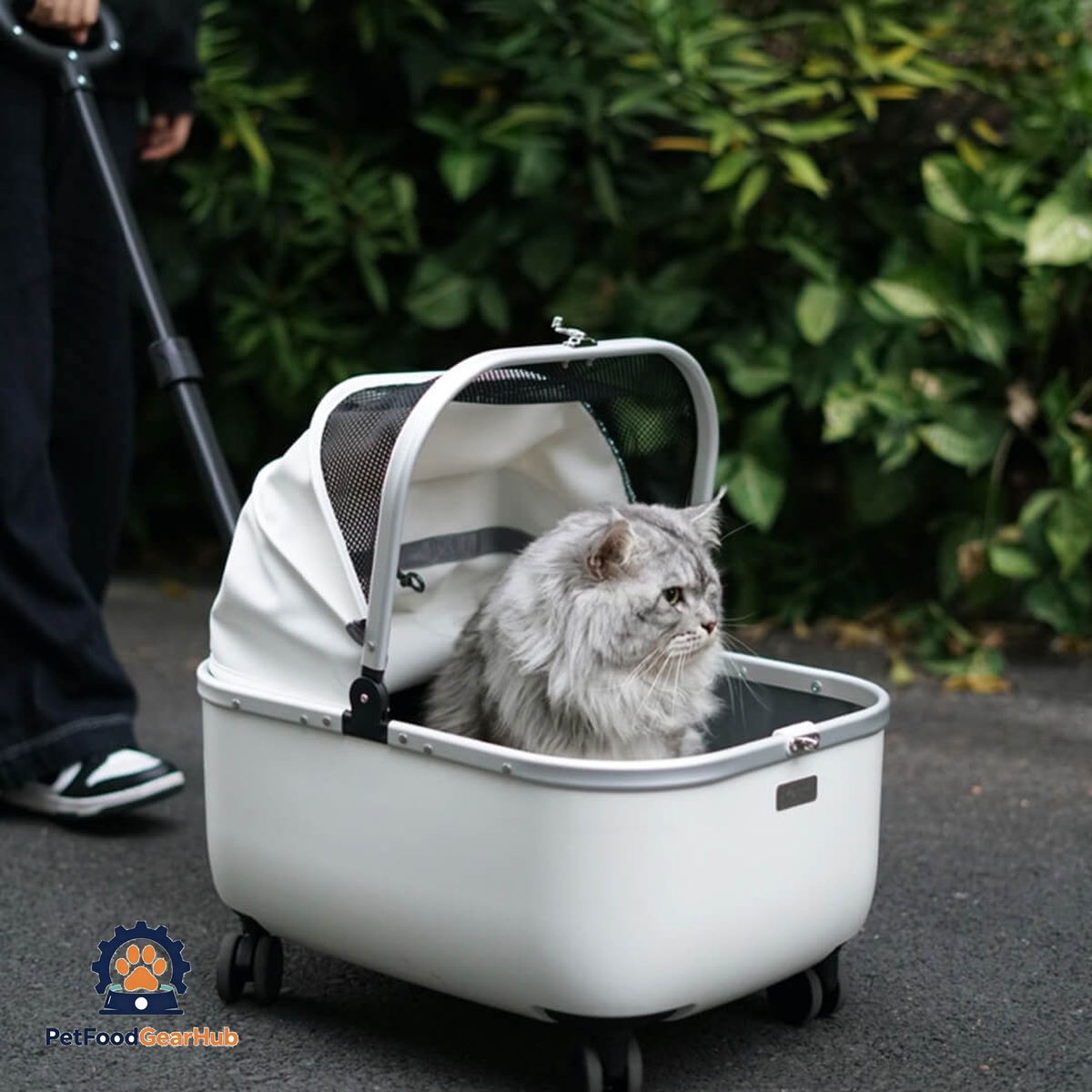 Cat Sitting in White Cat Carrier with Wheels | Stylish Pet Stroller for Cats | PetFoodGearHub
