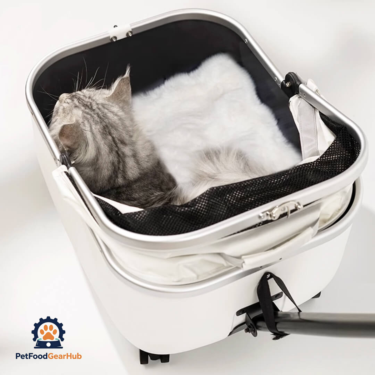 Cat Sitting in White Cat Stroller | Stylish Cat Carrier with Wheels | PetFoodGearHub