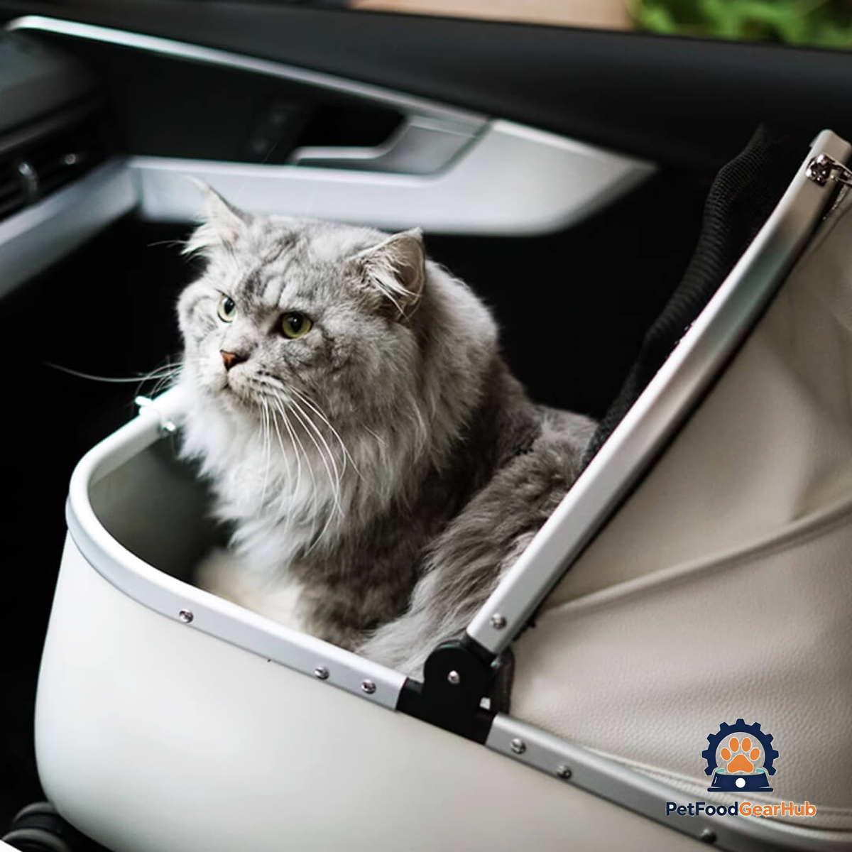 Cat Sitting in White Cat Car Carrier | PetFoodGearHub