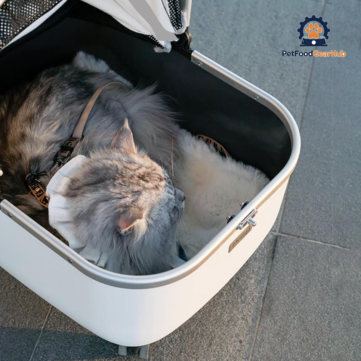 Cat Sitting in White Cat Stroller | Stylish Cat Carrier with Wheels | PetFoodGearHub