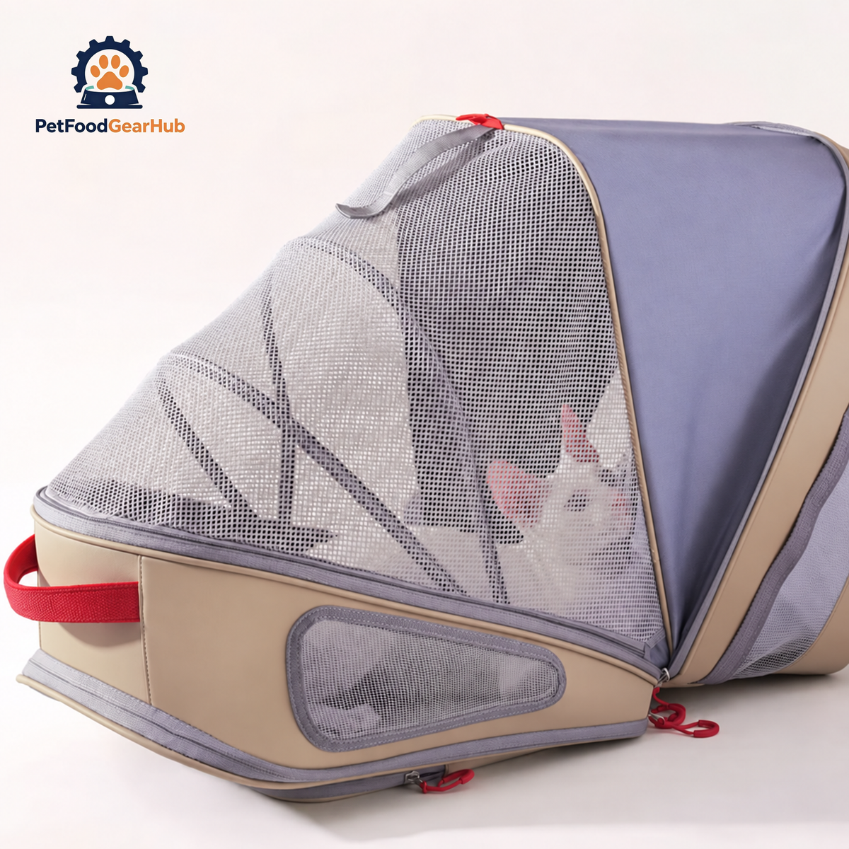 Cat Inside PetFoodGearHub Expandable Cat Backpack | PetFoodGearHub