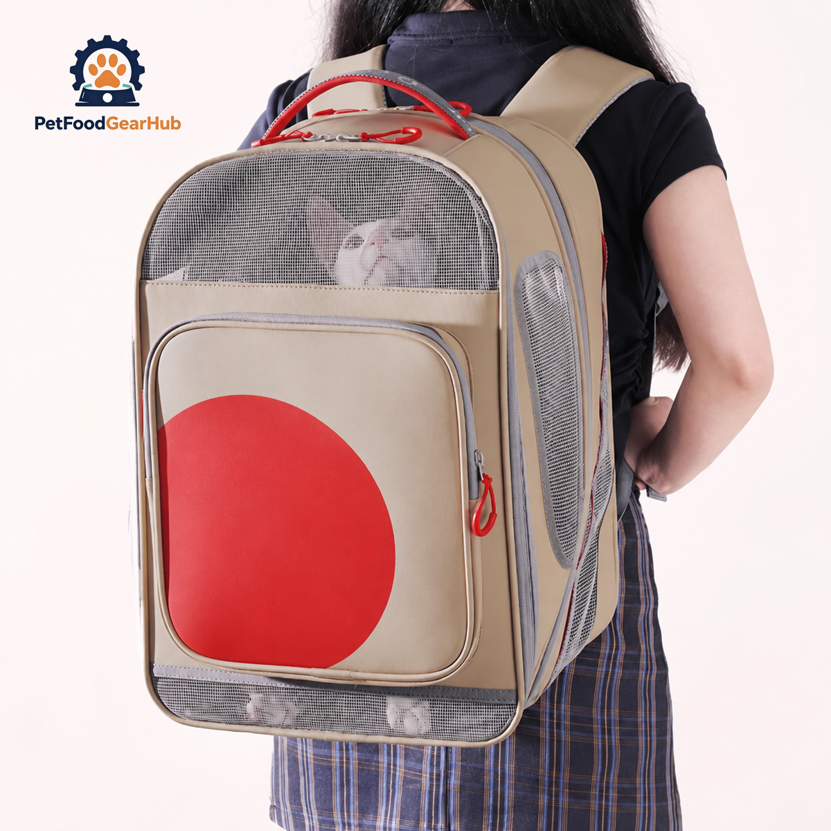 Carrying Cat with an Expandable Cat Backpack | PetFoodGearHub