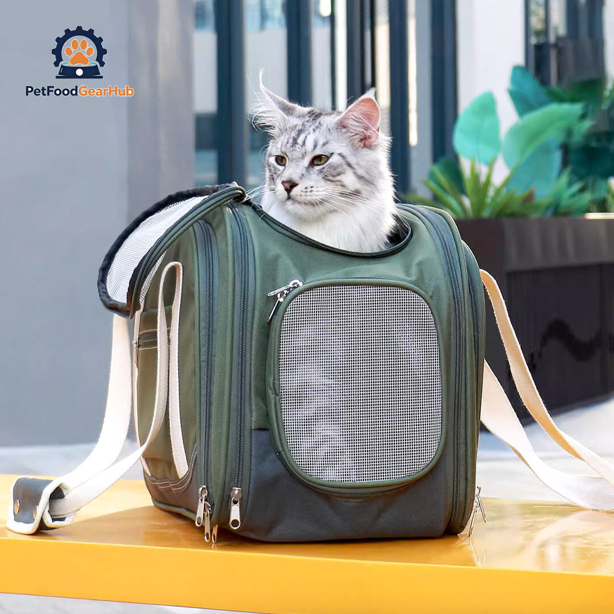 Cat Sitting in Kitty Chic Expandable airline-oriented Cat Carrier | PetFoodGearHub