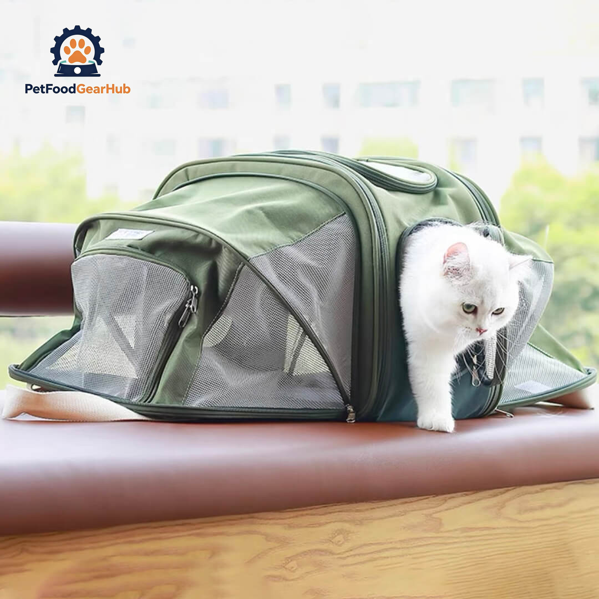 Kitty Chic Expandable airline-oriented Cat Carrier with Cat Exiting | PetFoodGearHub