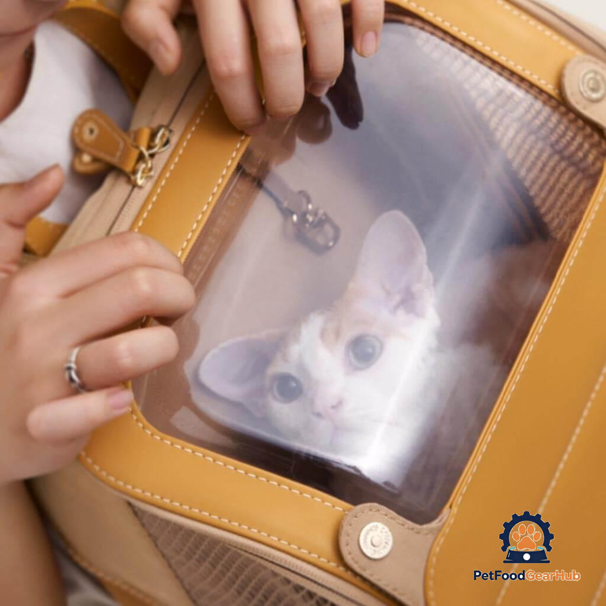 Floof Voyager Cat Traveling Backpack | Cat in Clear Cat Backpack | PetFoodGearHub