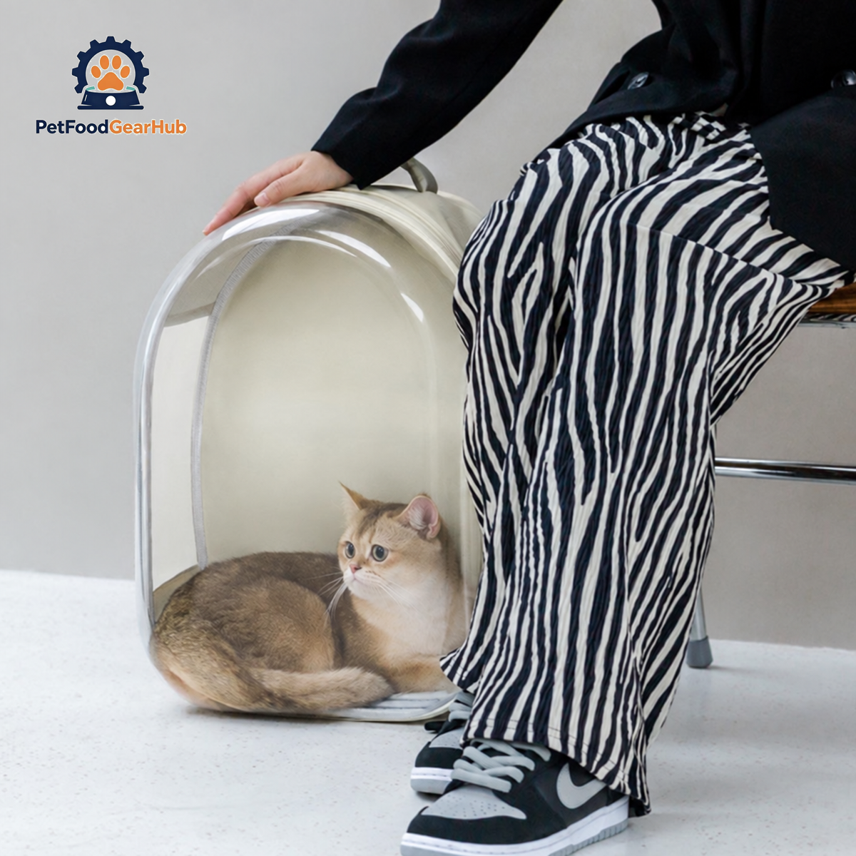 Wulee Clear Bubble Cat Backpack | Travel Carrier For Cats | PetFoodGearHub
