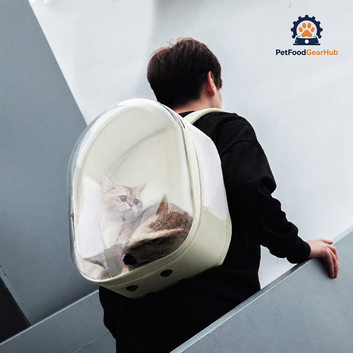 Wulee Clear Bubble Cat Backpack | Travel Carrier For Cats | PetFoodGearHub