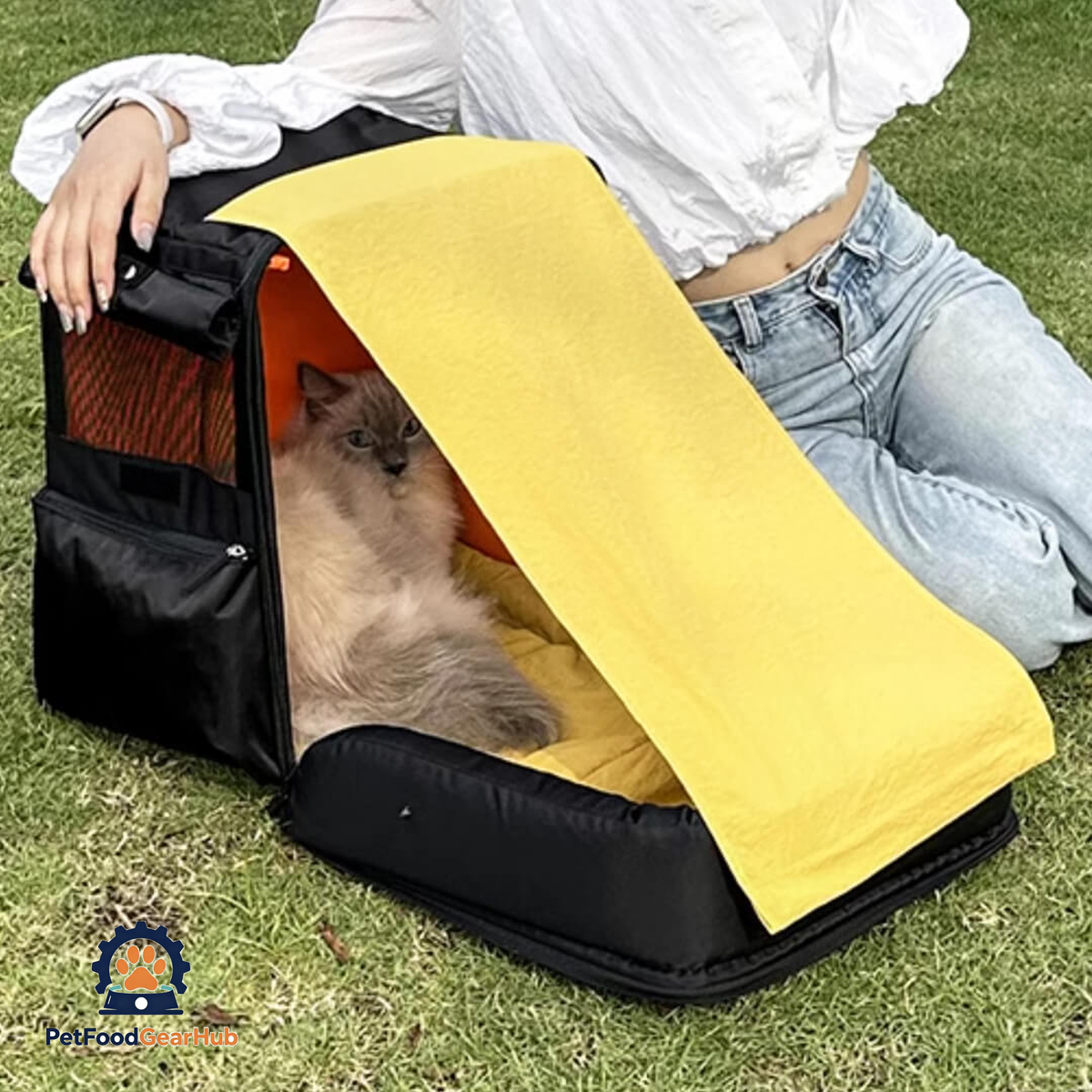 Cat Relaxing in Black Cat Backpack with Foldable Sunshade | PetFoodGearHub