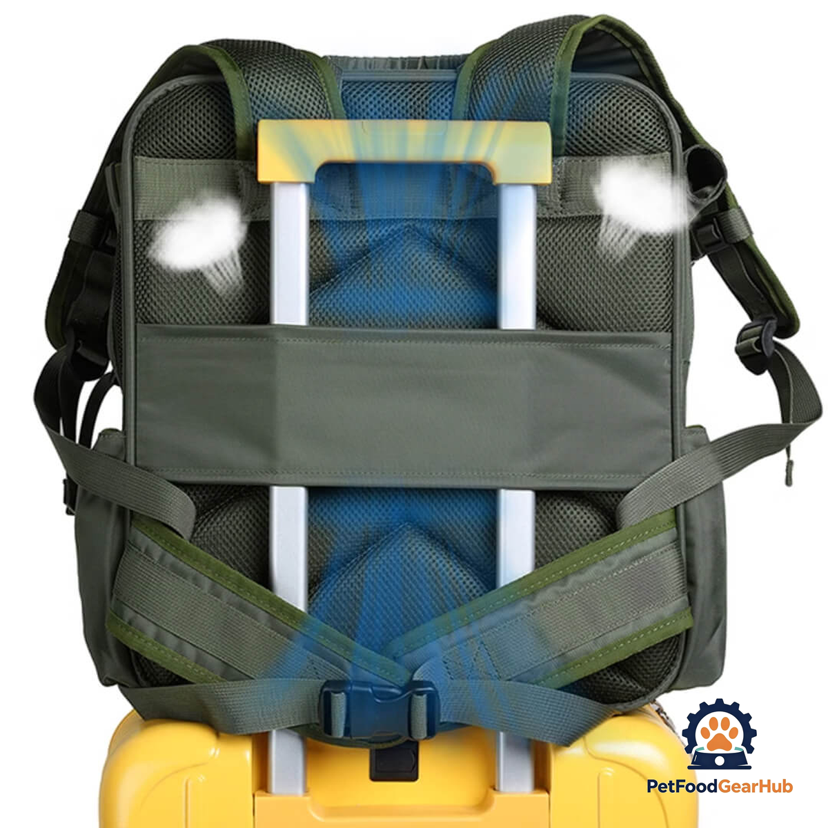 Luggage Sleeve of Green Cat Carrier Backpack | PetFoodGearHub