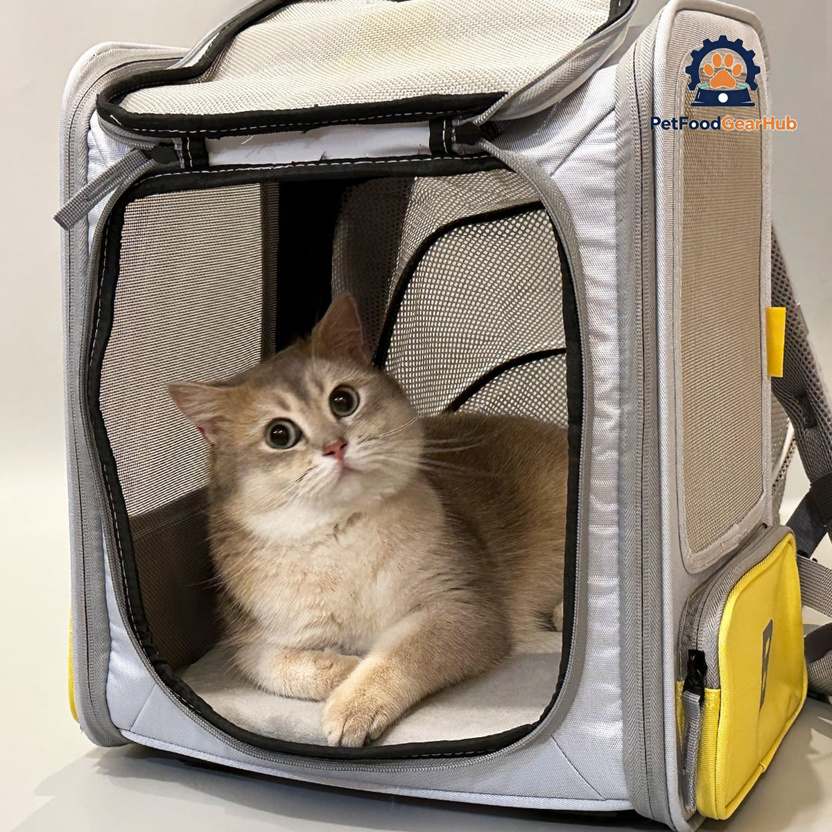 British Shorthair Cat Relaxing in Expandable Cat Backpack | PetFoodGearHub