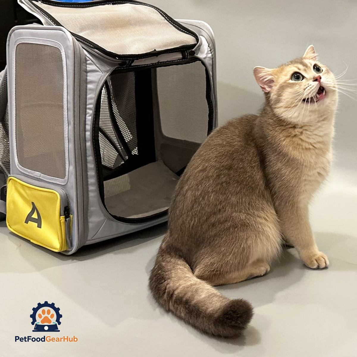 Collapsible Cat Backpack Carrier | PetFoodGearHub