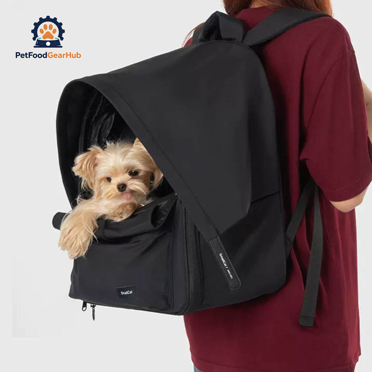 Cove Expandable Cat Backpack in Black with Small Dog | Pet Carrier Backpack | PetFoodGearHub
