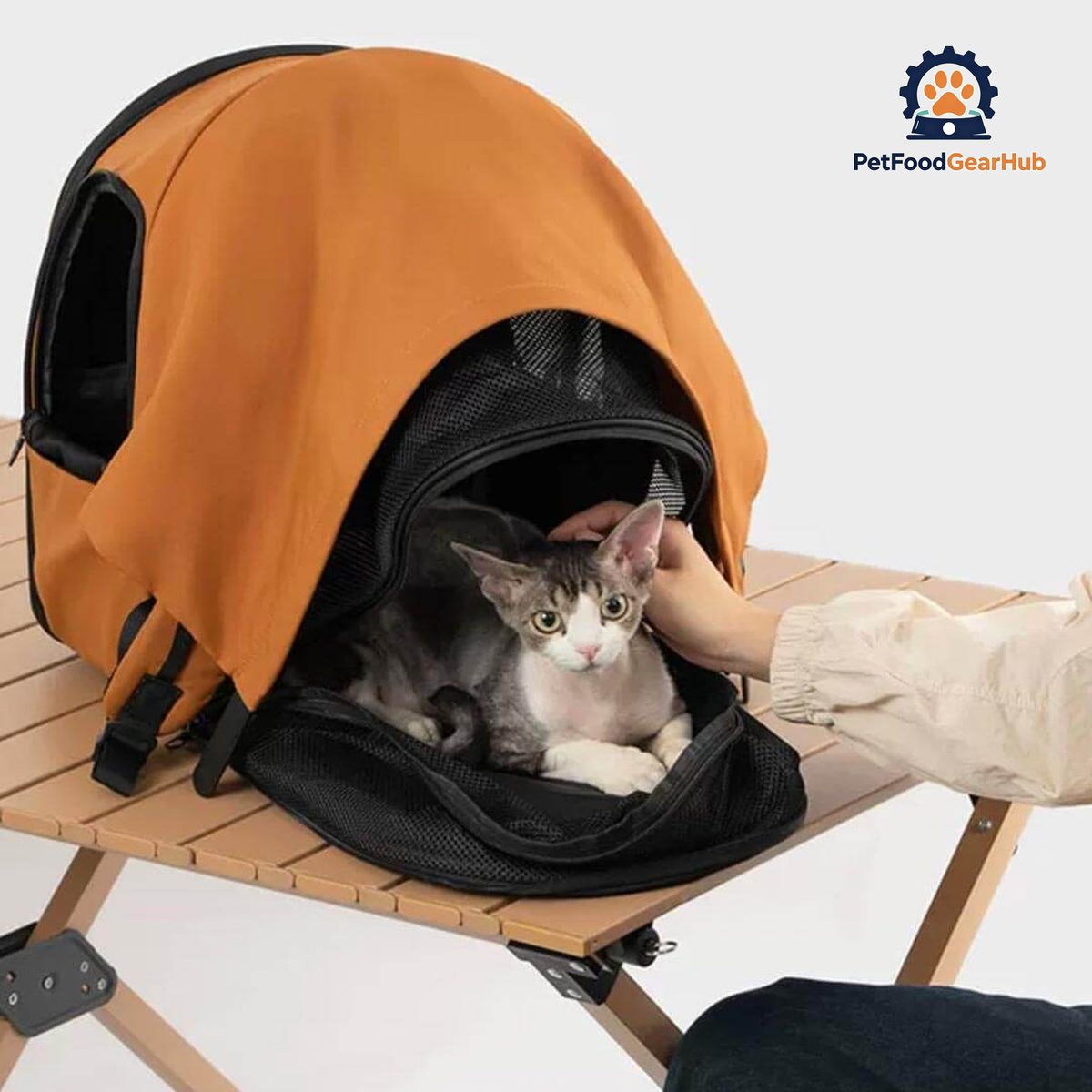 Cove Expandable Cat Backpack in Orange with Cat | Expandable Mesh Cat Carrier | PetFoodGearHub