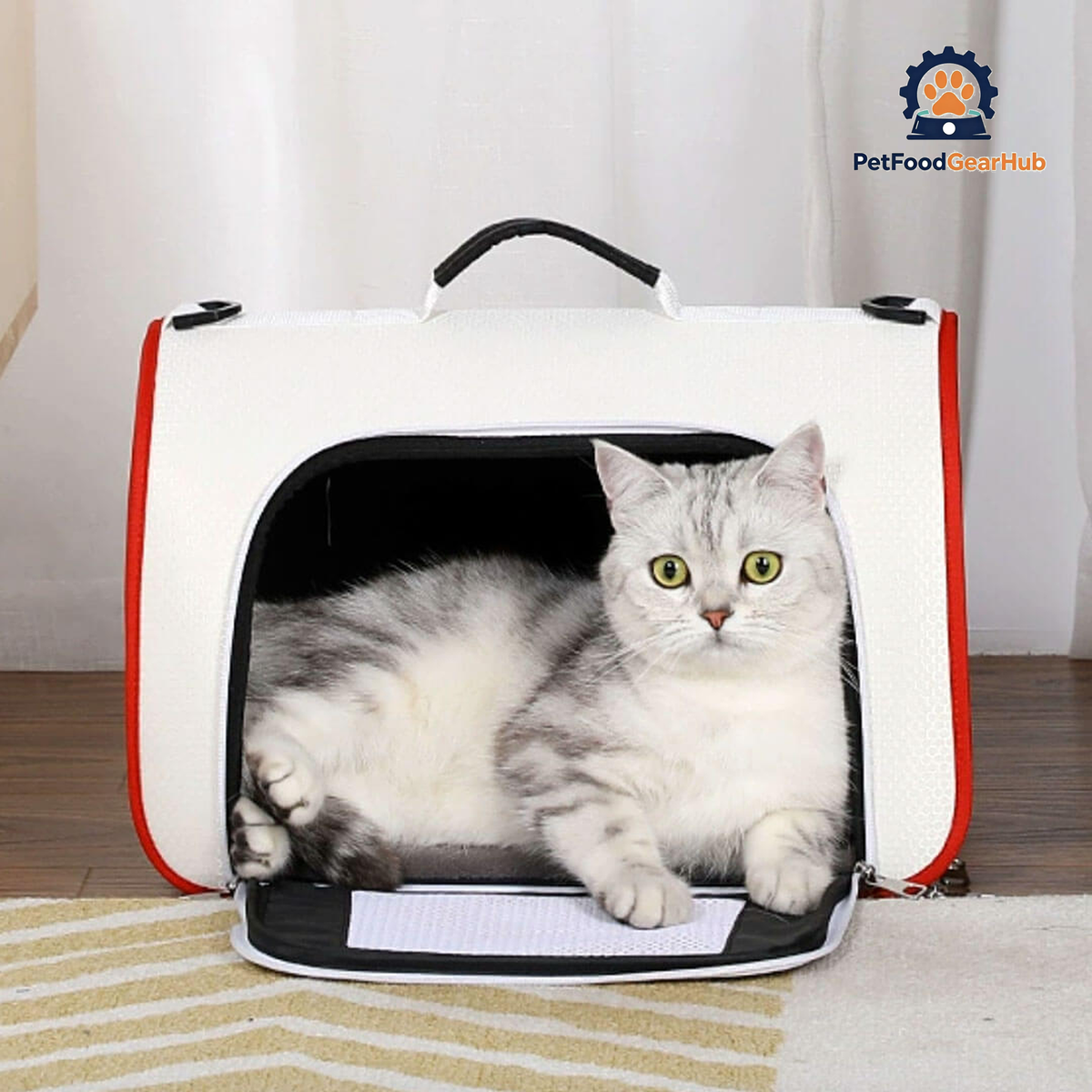 Cat in White Lightweight airline-oriented Travel Cat Carrier | PetFoodGearHub