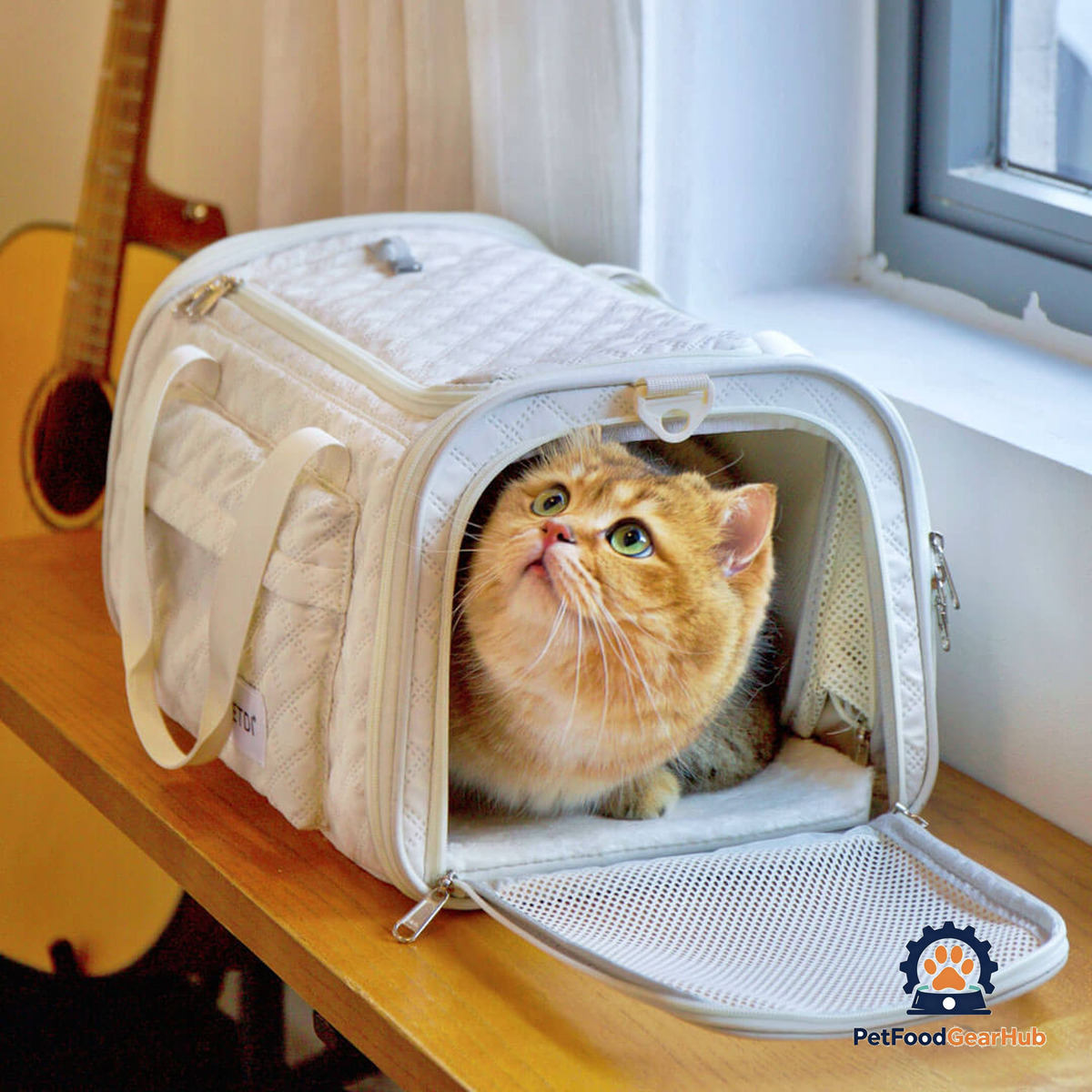 Cat in Beige airline-oriented Cat Carrier for Travel | PetFoodGearHub
