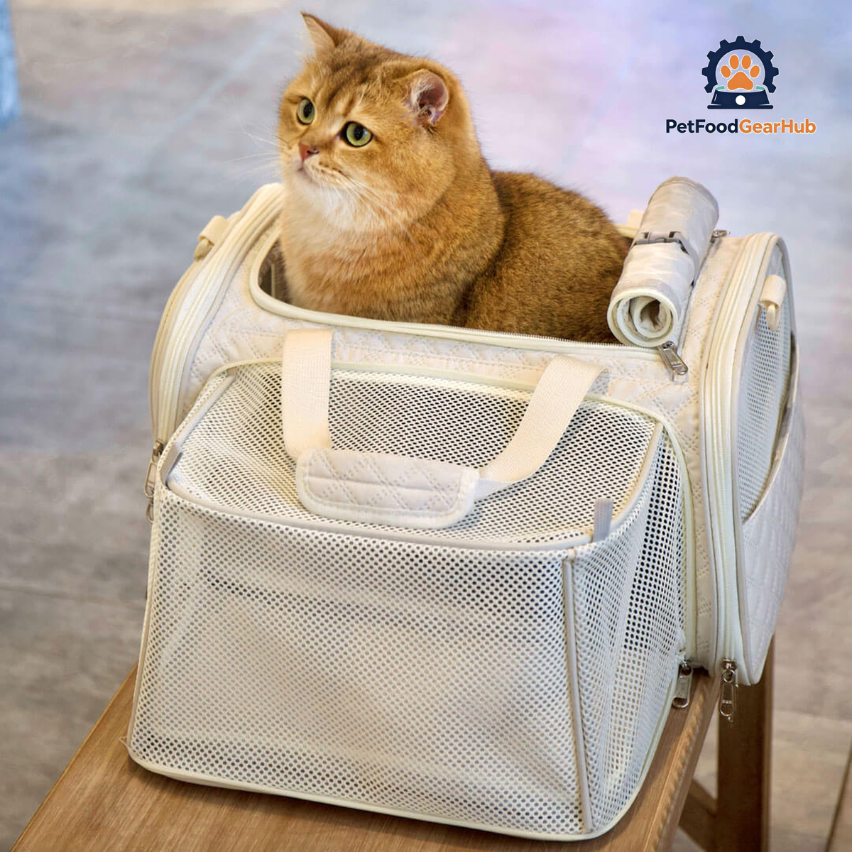 Cat in Beige Expandable airline-oriented Cat Carrier for Travel | PetFoodGearHub