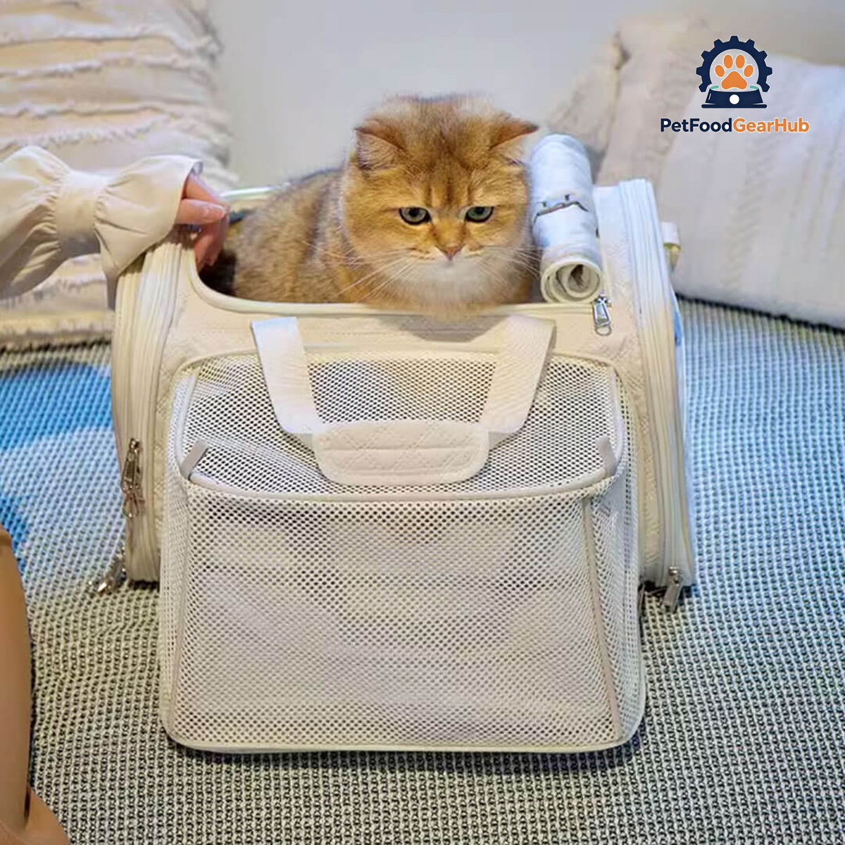 Cat in Beige Expandable airline-oriented Cat Carrier for Travel | PetFoodGearHub