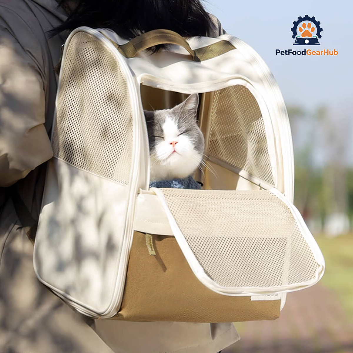 Carrying Cat with Lightweight Cat Backpack | PetFoodGearHub