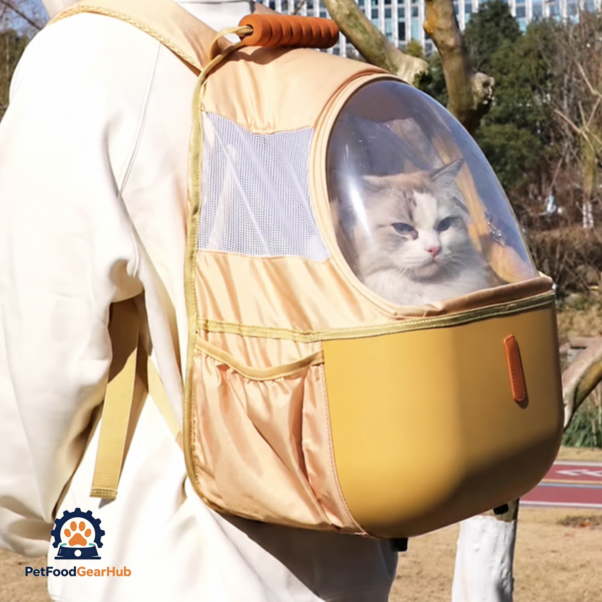 Carrying Cat with Yellow Collapsible Cat Backpack | PetFoodGearHub