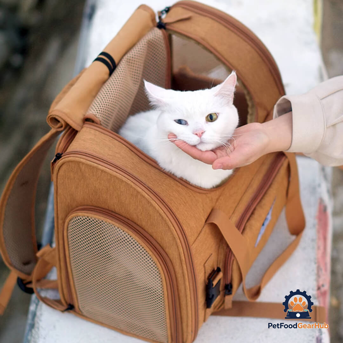 Cat Inside Expandable Cat Backpack | PetFoodGearHub