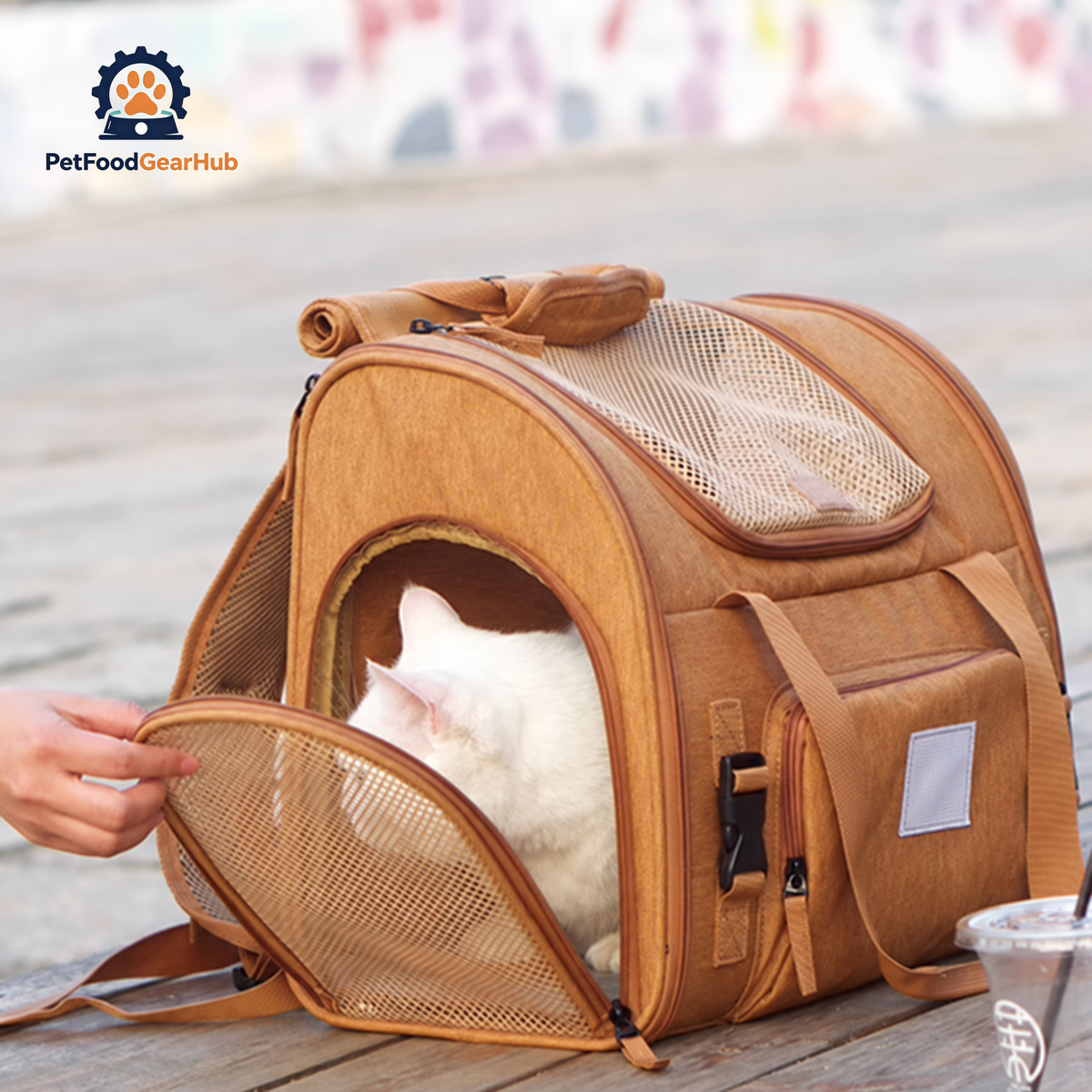 Side Opening of Expandable Cat Backpack | PetFoodGearHub