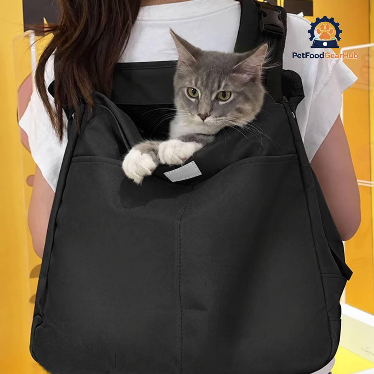 Cat Sitting In Black Cuddle Carrier Backpack | PetFoodGearHub