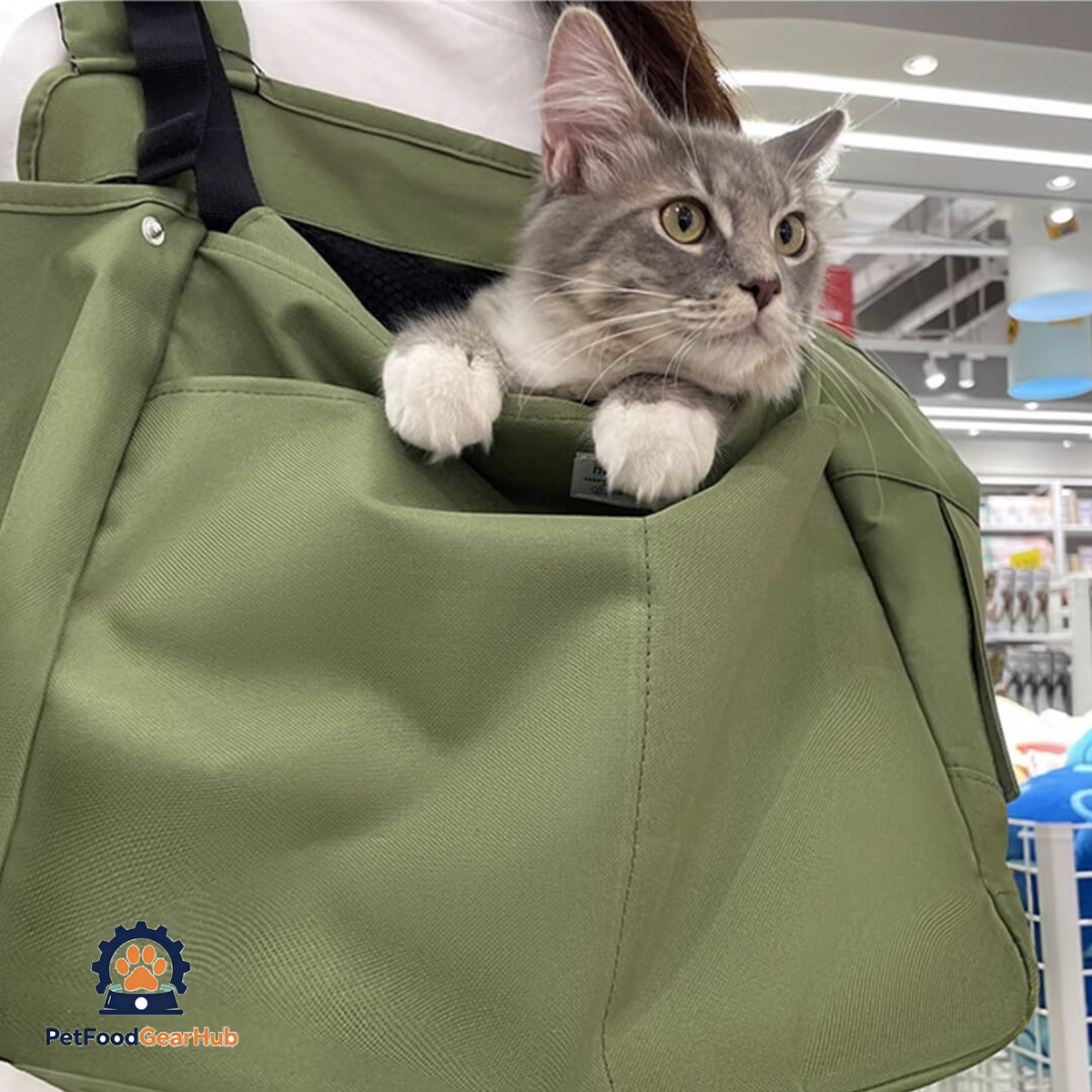 Cat Sitting In Green Cuddle Carrier Backpack Worn On Front | PetFoodGearHub