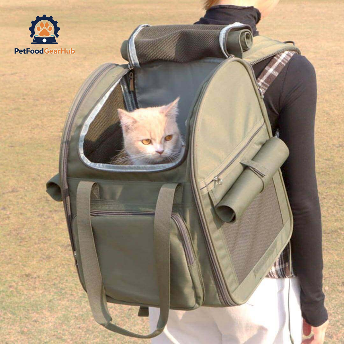 Top Loading Cat Backpack for Large Cats | Dark Green Collapsible Cat Carrier | PetFoodGearHub