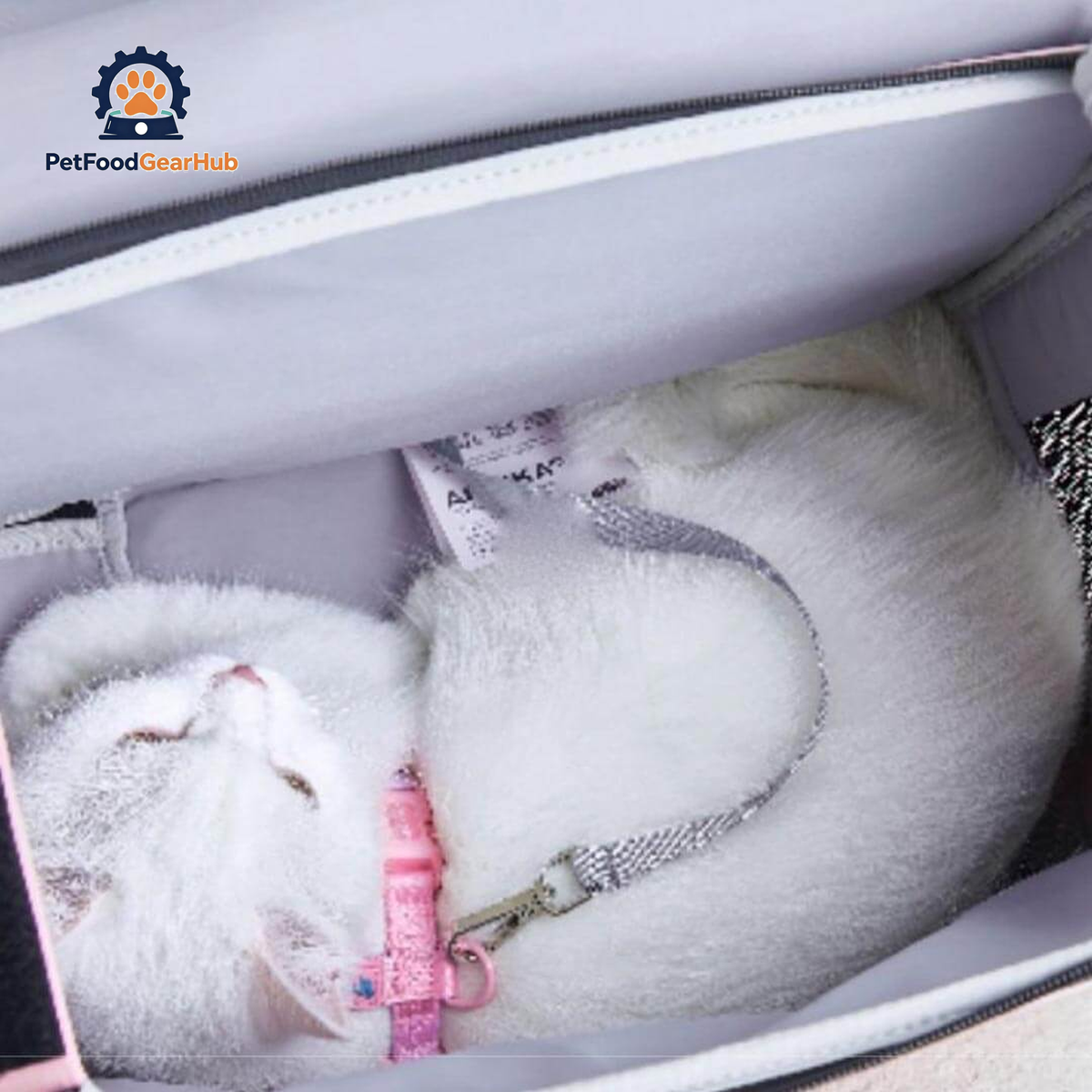 PetFoodGearHub Whiskers Wonders Pink Cat Backpack | PetFoodGearHub