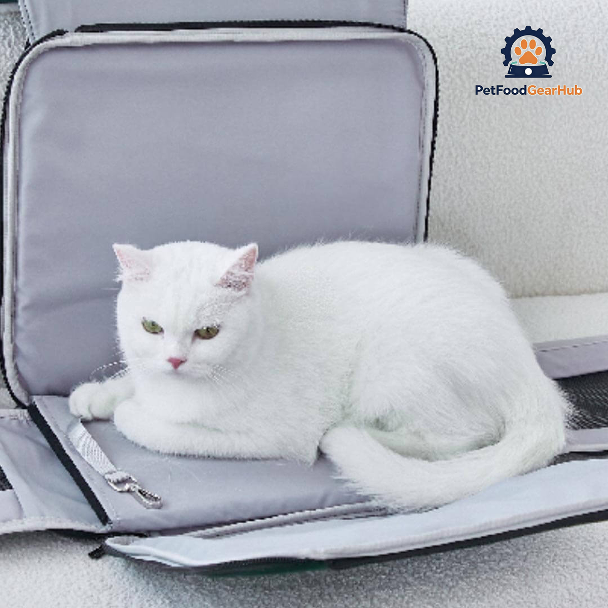 Cat Lying in PetFoodGearHub Whiskers Wonders Pink Cat Backpack | PetFoodGearHub