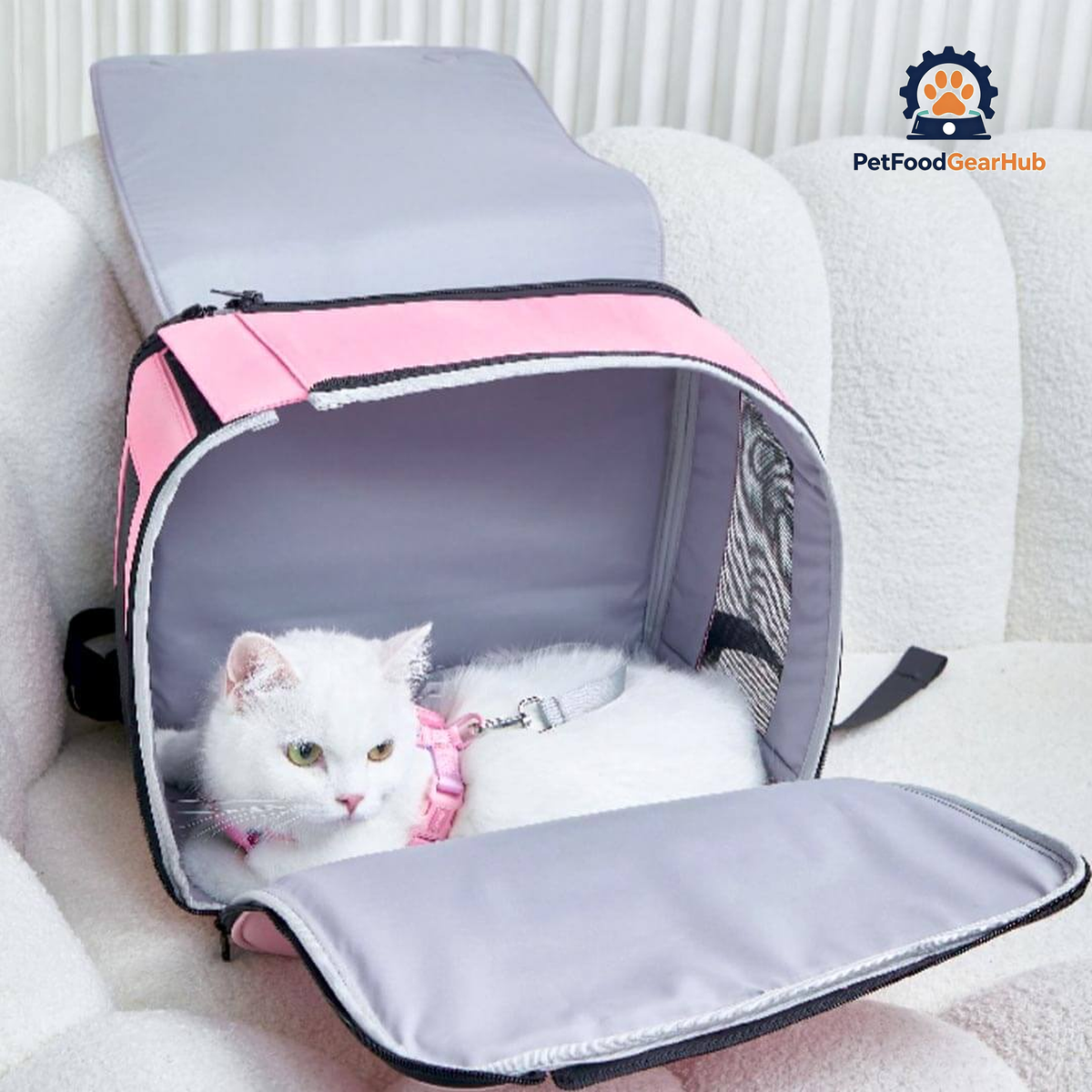 Cat Peeking Out From Pink PetFoodGearHub Whiskers Wonders Cat Backpack | PetFoodGearHub
