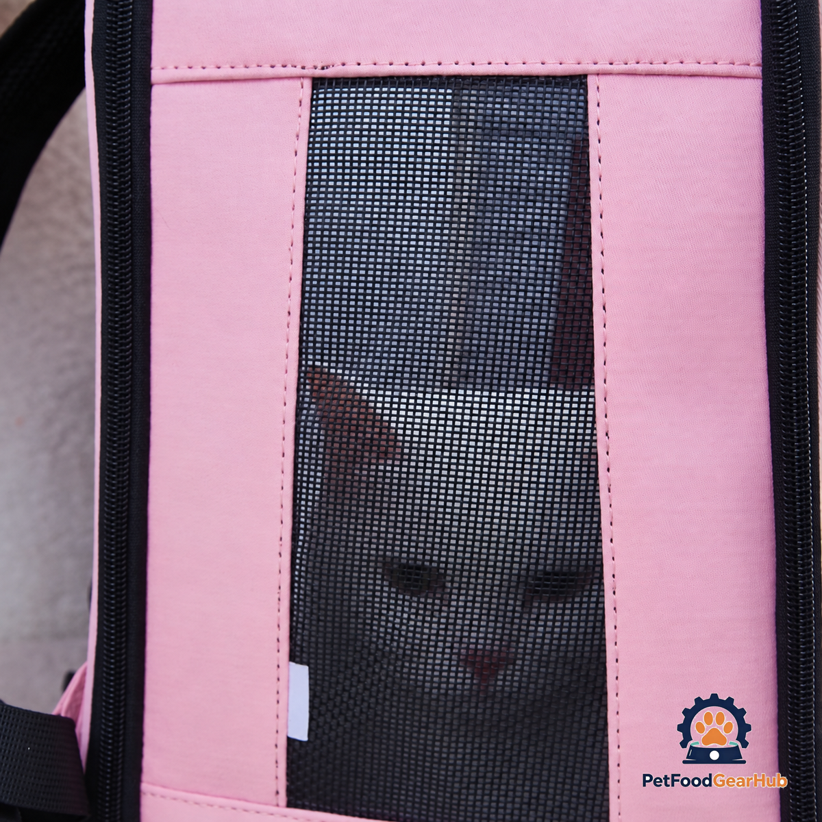 Cat Seeing Out of the PetFoodGearHub Whiskers Wonders Pink Cat Backpack | PetFoodGearHub