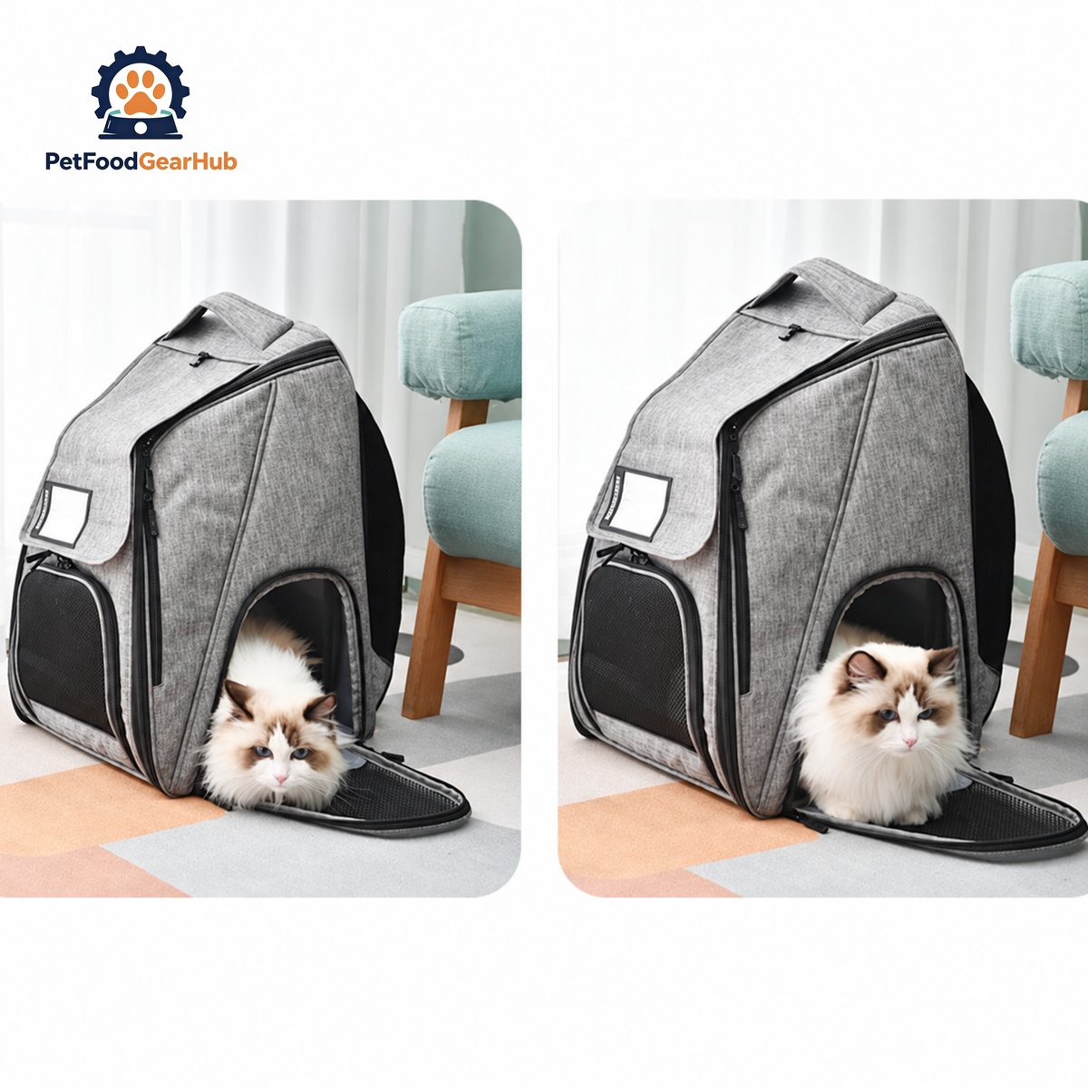 Urban Wanderer Cat Backpack for Carrying Cat | Cat in Backpack | PetFoodGearHub