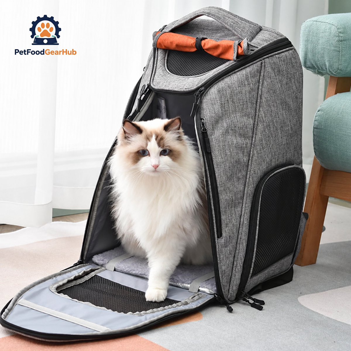 Urban Wanderer Cat Backpack for Carrying Cat | Cat in Backpack | PetFoodGearHub