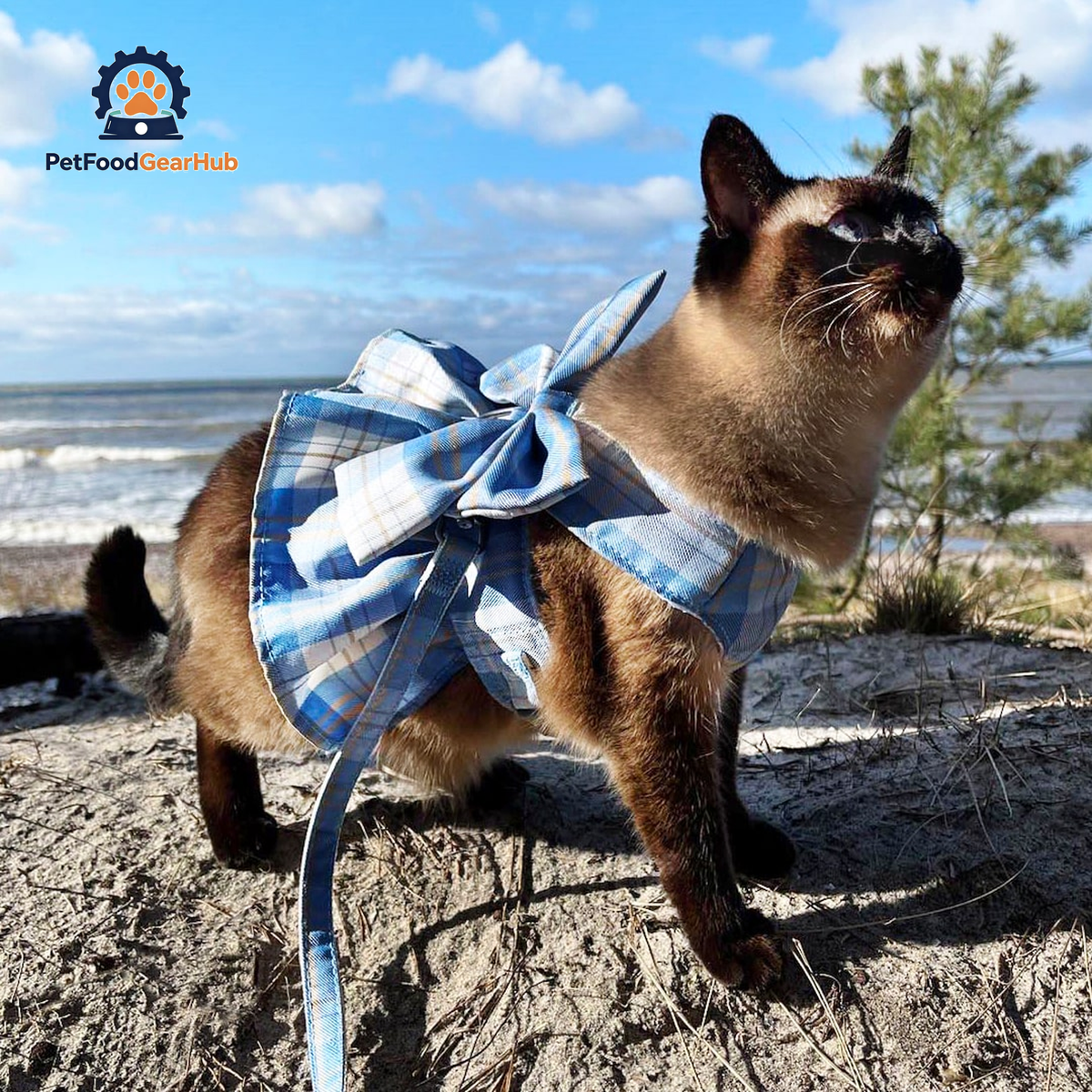 Siamese Cat Exploring Outdoors in Fuji Cat Harness | PetFoodGearHub